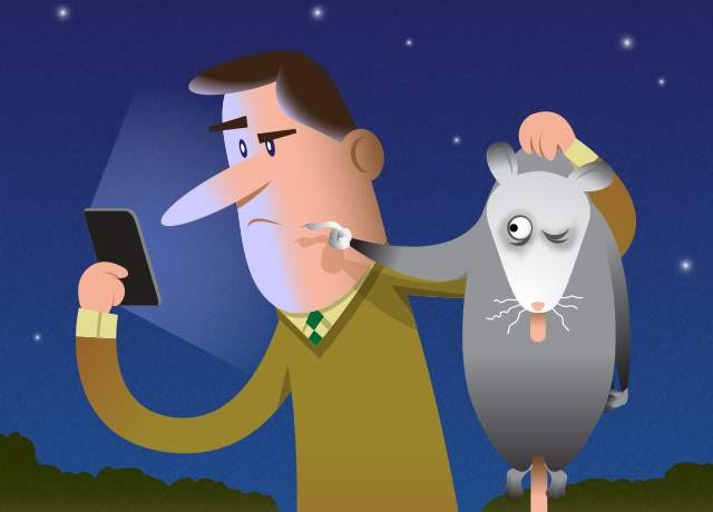 Google’s Possum Update Affects Local Search Results