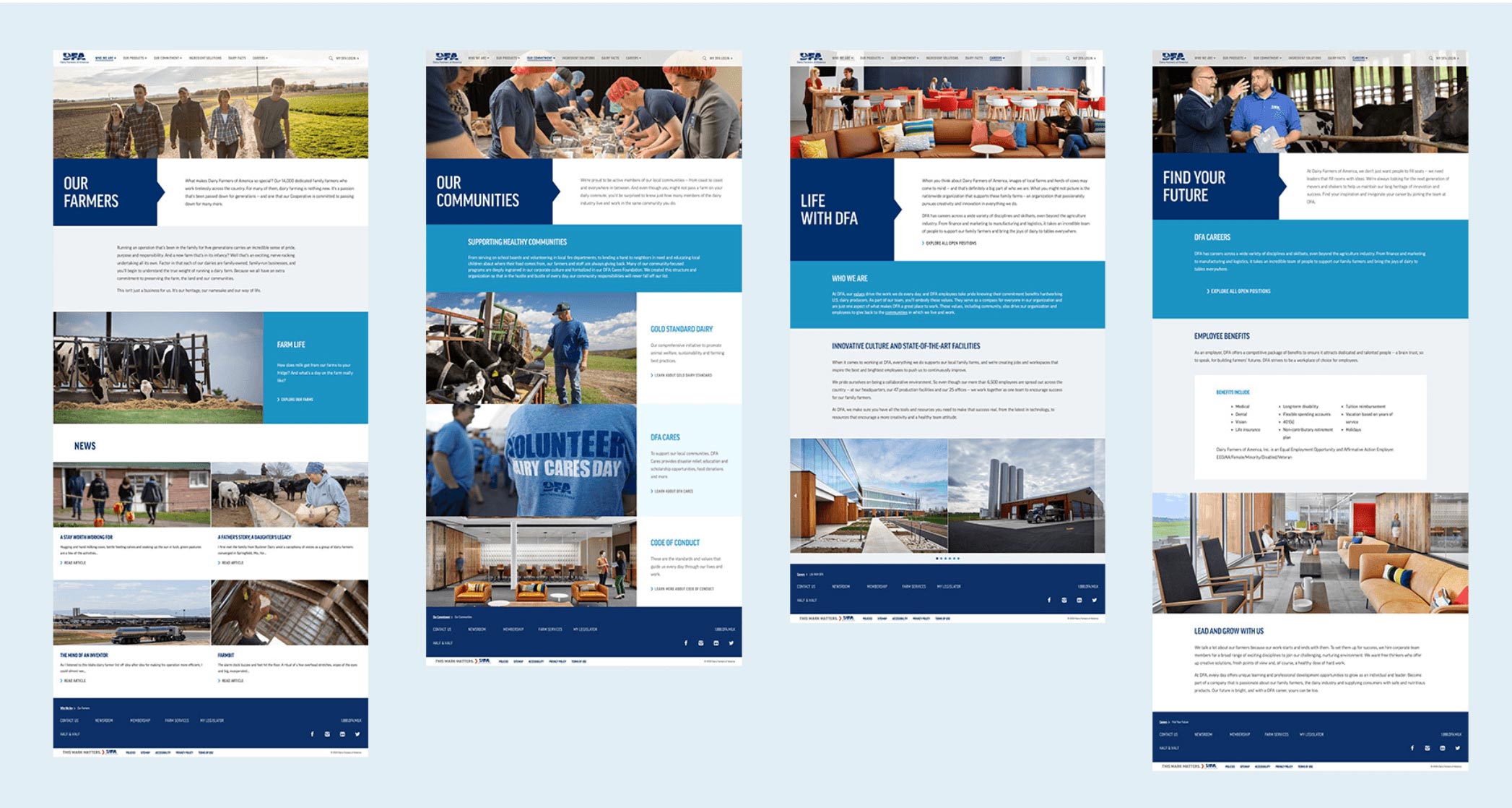 dfa web layout